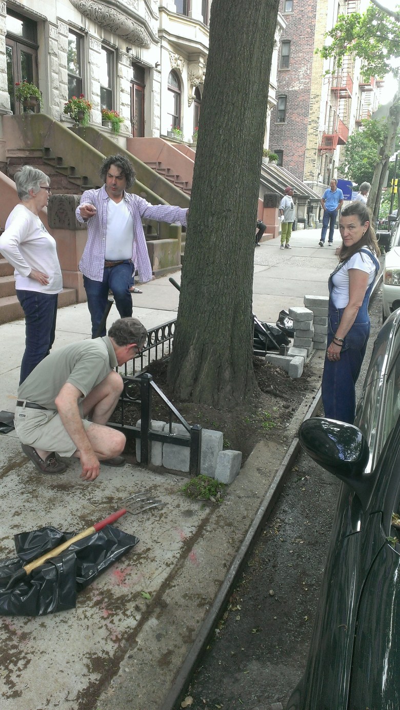 Treewell June 2018 4