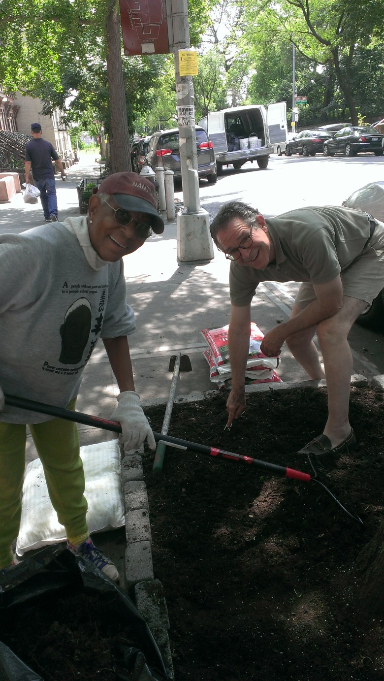 Treewell - June 2018